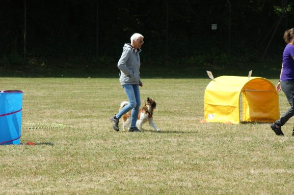 Hoopers Seminar mit Barbara & Andrea Girardi SVOG Bühl-Eisental Hund wird an den Startpunkt geführt Hoopers Seminar mit Barbara & Andrea Girardi SVOG Bühl-Eisental