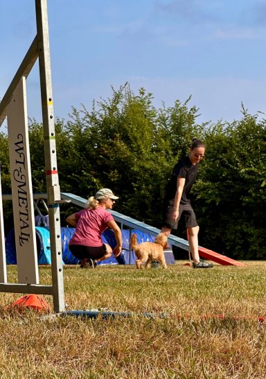 Oskar beim Training Oskar beim Training